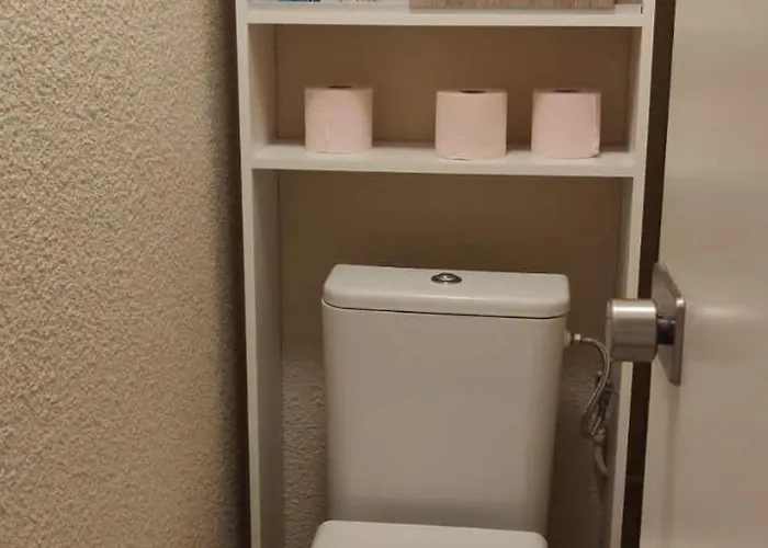 T2 Plagne Villages Skis Au Pied 32m2 Tres Bien Equipe La Plagne