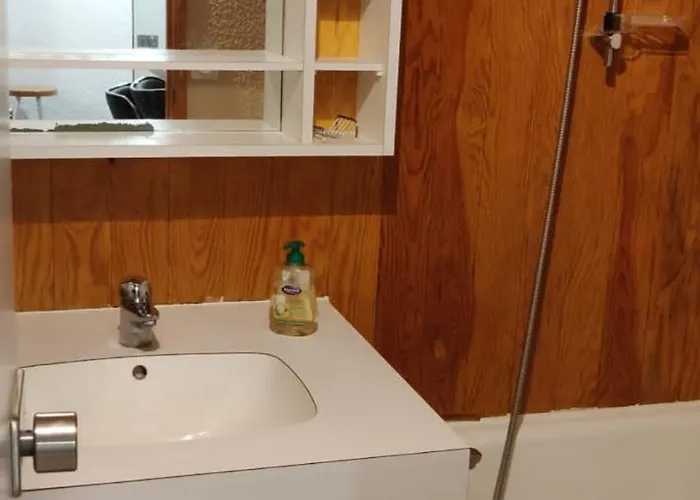 Apartment T2 Plagne Villages Skis Au Pied 32m2 Tres Bien Equipe La Plagne