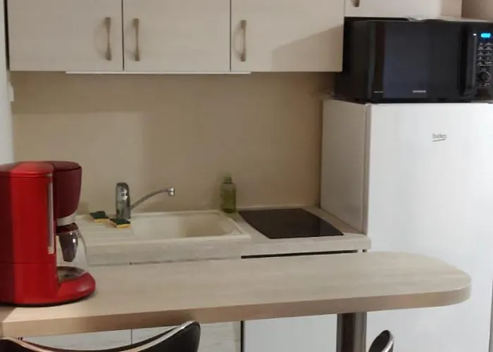 T2 Plagne Villages Skis Au Pied 32m2 Tres Bien Equipe